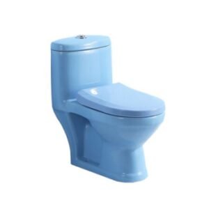 "small-sized-wc-for-kids-in-light-blue-colour"