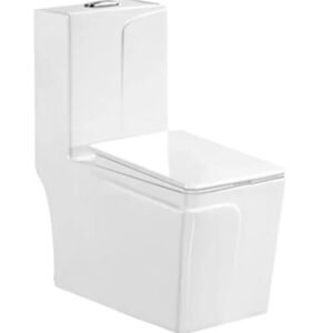"areej-one-piece-wc-in-large-size-white"