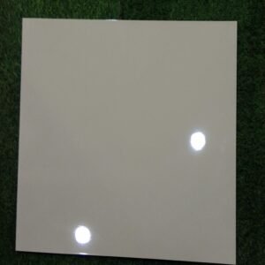 "beige-colour-floor-tile-60x60-cm-glossy-finish"