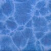 "swimming-pool-tile-50x50-mm-blue"