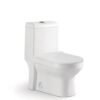 "dubang-brand-db803-p-trap-wc-white"