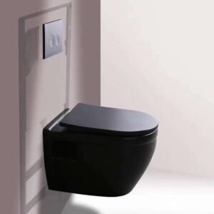 "wall-hung-water-closet-black-matt"