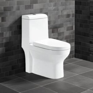 'floor-standing-water-closet-in-a-small-bathroom-in-dubai-uae"
