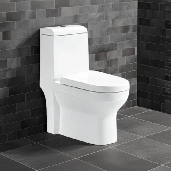 'floor-standing-water-closet-in-a-small-bathroom-in-dubai-uae"